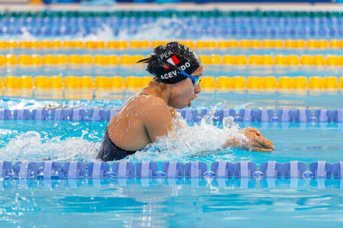 Dive into Greatness: The Unique Experience of the Olympic Pool and Swimming