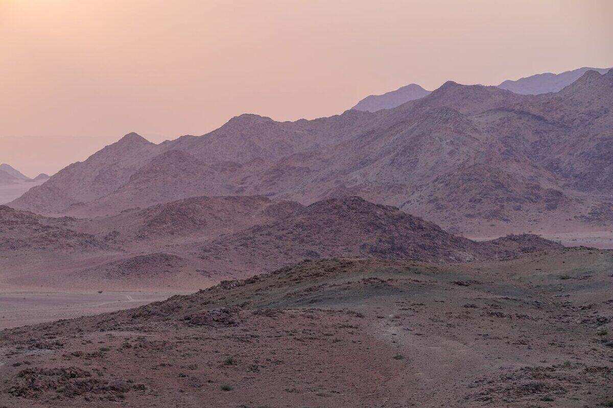 Las Ratas del Desierto: Adaptaciones Fascinantes de un Roedor Resistente